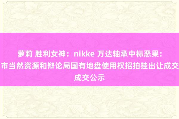 萝莉 胜利女神：nikke 万达轴承中标恶果：如皋市当然资源和辩论局国有地盘使用权招拍挂出让成交公示