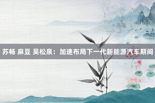 苏畅 麻豆 吴松泉：加速布局下一代新能源汽车期间