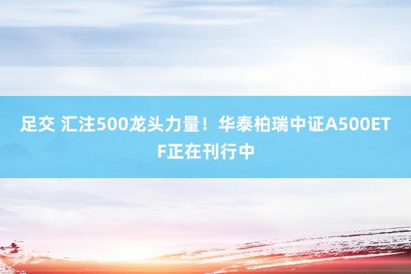 足交 汇注500龙头力量！华泰柏瑞中证A500ETF正在刊行中