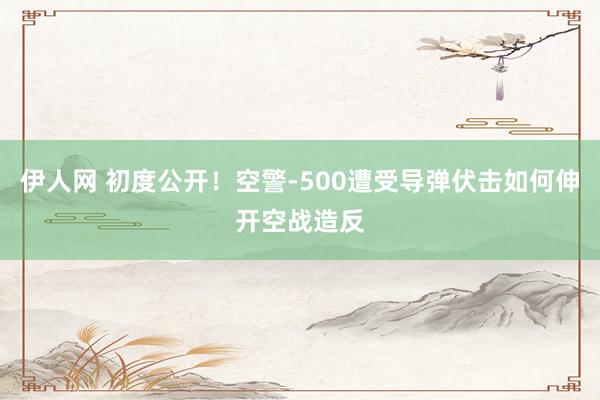 伊人网 初度公开！空警-500遭受导弹伏击如何伸开空战造反