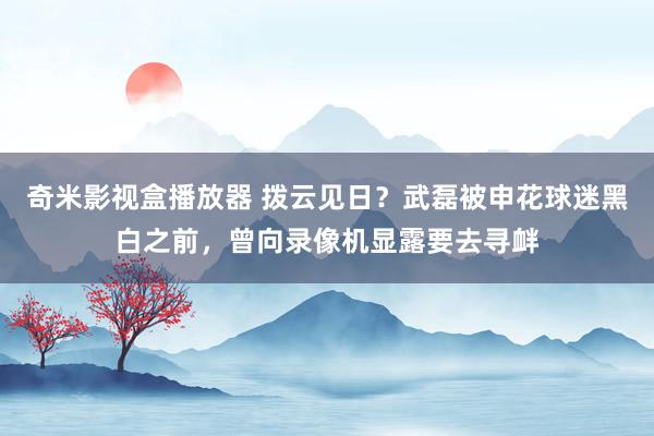 奇米影视盒播放器 拨云见日？武磊被申花球迷黑白之前，曾向录像机显露要去寻衅