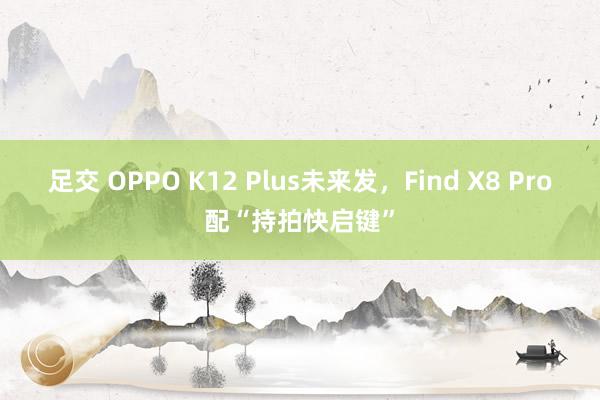 足交 OPPO K12 Plus未来发，Find X8 Pro配“持拍快启键”