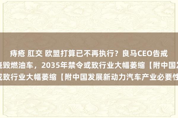 痔疮 肛交 欧盟打算已不再执行？良马CEO告戒：欧洲大陆尚未准备好烧毁燃油车，2035年禁令或致行业大幅萎缩【附中国发展新动力汽车产业必要性】