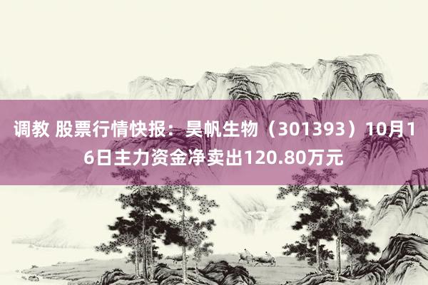 调教 股票行情快报：昊帆生物（301393）10月16日主力资金净卖出120.80万元