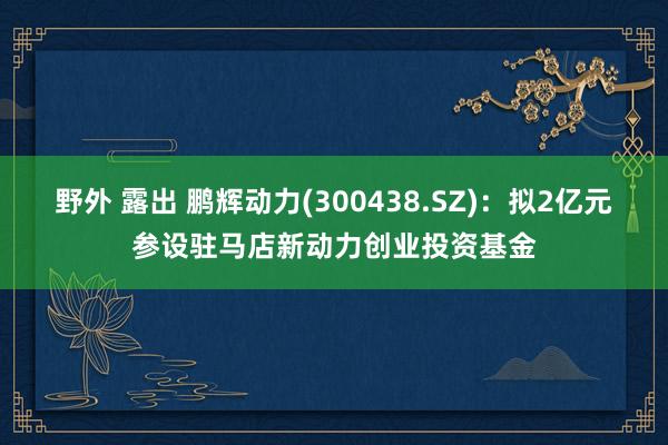 野外 露出 鹏辉动力(300438.SZ)：拟2亿元参设驻马店新动力创业投资基金