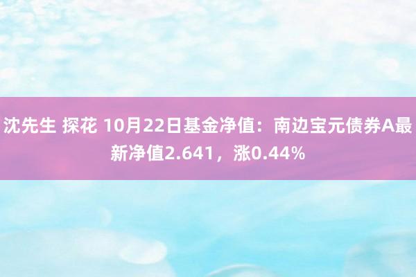 沈先生 探花 10月22日基金净值：南边宝元债券A最新净值2.641，涨0.44%