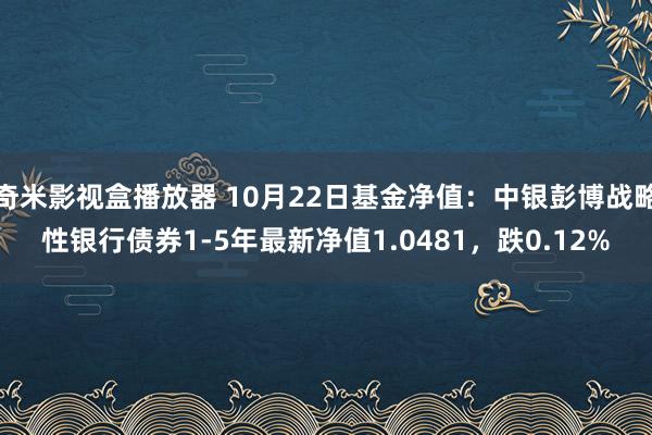 奇米影视盒播放器 10月22日基金净值：中银彭博战略性银行债券1-5年最新净值1.0481，跌0.12%