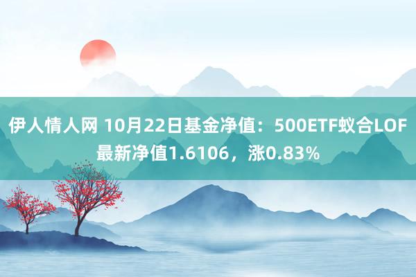 伊人情人网 10月22日基金净值：500ETF蚁合LOF最新净值1.6106，涨0.83%