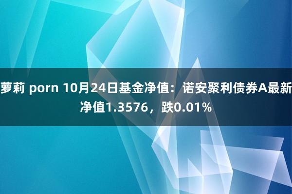 萝莉 porn 10月24日基金净值：诺安聚利债券A最新净值1.3576，跌0.01%