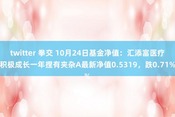 twitter 拳交 10月24日基金净值：汇添富医疗积极成长一年捏有夹杂A最新净值0.5319，跌0.71%