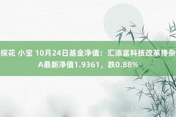 探花 小宝 10月24日基金净值：汇添富科技改革搀杂A最新净值1.9361，跌0.88%