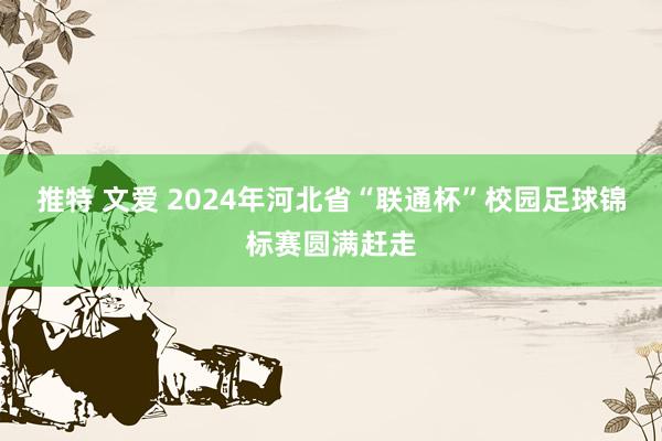 推特 文爱 2024年河北省“联通杯”校园足球锦标赛圆满赶走