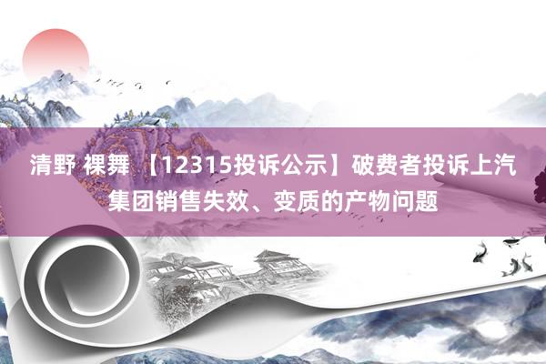 清野 裸舞 【12315投诉公示】破费者投诉上汽集团销售失效、变质的产物问题