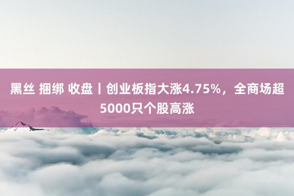 黑丝 捆绑 收盘丨创业板指大涨4.75%，全商场超5000只个股高涨