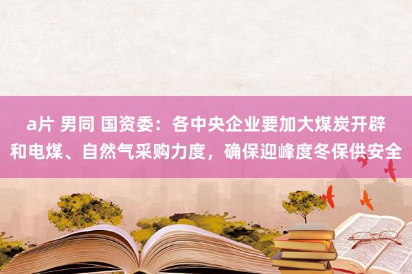 a片 男同 国资委：各中央企业要加大煤炭开辟和电煤、自然气采购力度，确保迎峰度冬保供安全