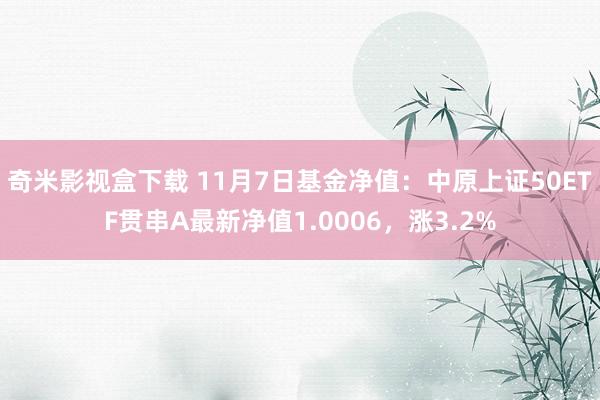 奇米影视盒下载 11月7日基金净值：中原上证50ETF贯串A最新净值1.0006，涨3.2%