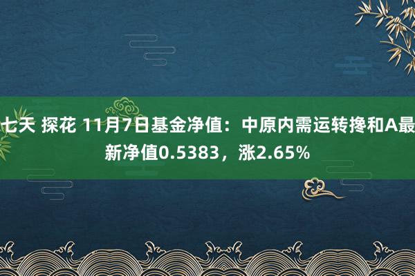 七天 探花 11月7日基金净值：中原内需运转搀和A最新净值0.5383，涨2.65%