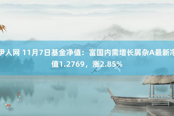 伊人网 11月7日基金净值：富国内需增长羼杂A最新净值1.2769，涨2.85%