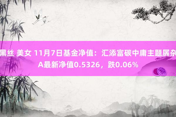 黑丝 美女 11月7日基金净值：汇添富碳中庸主题羼杂A最新净值0.5326，跌0.06%