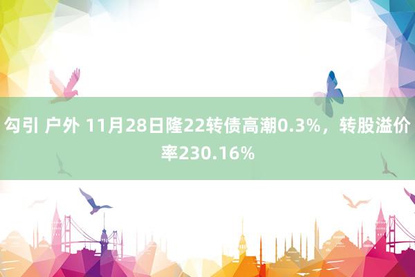 勾引 户外 11月28日隆22转债高潮0.3%，转股溢价率230.16%