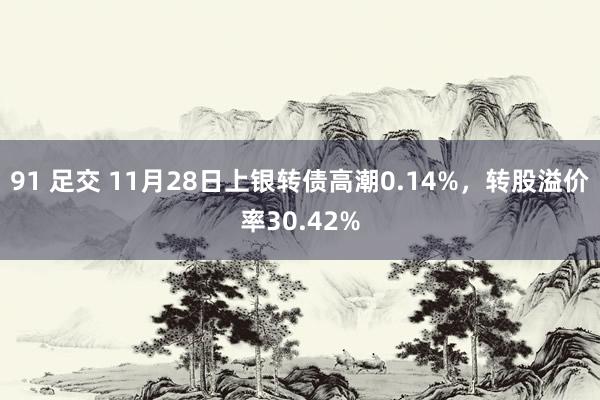 91 足交 11月28日上银转债高潮0.14%，转股溢价率30.42%