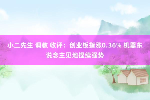 小二先生 调教 收评：创业板指涨0.36% 机器东说念主见地捏续强势