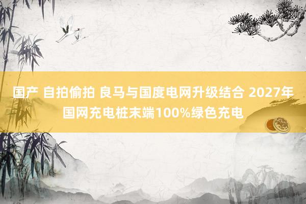 国产 自拍偷拍 良马与国度电网升级结合 2027年国网充电桩末端100%绿色充电