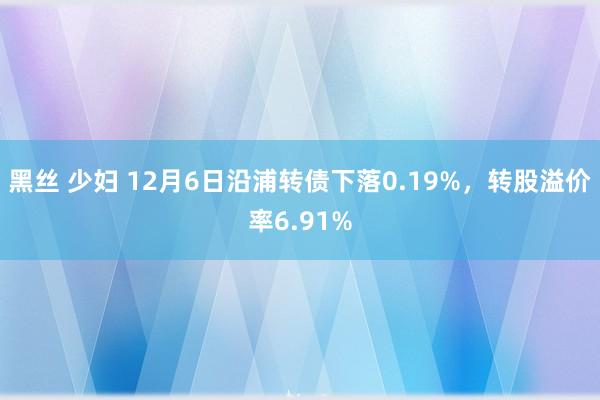 黑丝 少妇 12月6日沿浦转债下落0.19%，转股溢价率6.91%