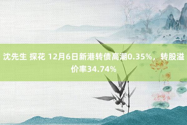 沈先生 探花 12月6日新港转债高潮0.35%，转股溢价率34.74%