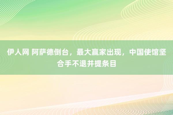 伊人网 阿萨德倒台，最大赢家出现，中国使馆坚合手不退并提条目