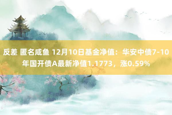 反差 匿名咸鱼 12月10日基金净值：华安中债7-10年国开债A最新净值1.1773，涨0.59%