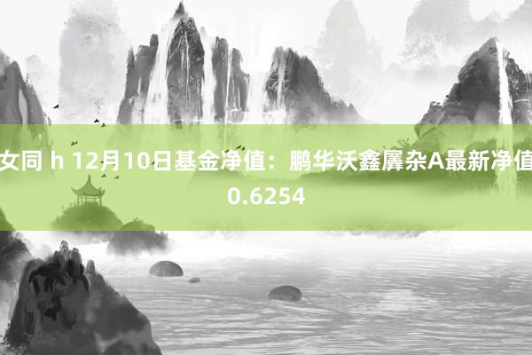 女同 h 12月10日基金净值：鹏华沃鑫羼杂A最新净值0.6254