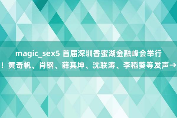 magic_sex5 首届深圳香蜜湖金融峰会举行！黄奇帆、肖钢、薛其坤、沈联涛、李稻葵等发声→