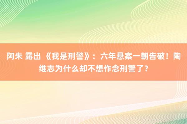 阿朱 露出 《我是刑警》：六年悬案一朝告破！陶维志为什么却不想作念刑警了？