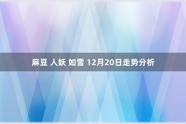 麻豆 人妖 如雪 12月20日走势分析