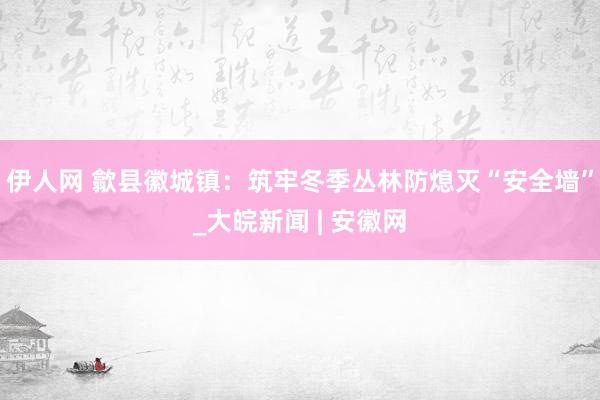 伊人网 歙县徽城镇：筑牢冬季丛林防熄灭“安全墙”_大皖新闻 | 安徽网