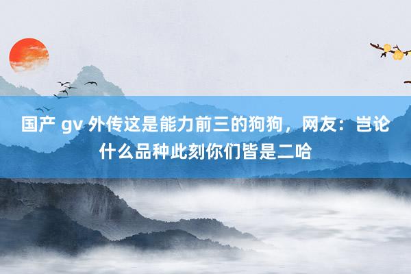 国产 gv 外传这是能力前三的狗狗，网友：岂论什么品种此刻你们皆是二哈