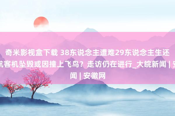 奇米影视盒下载 38东说念主遭难29东说念主生还，阿航客机坠毁或因撞上飞鸟？走访仍在进行_大皖新闻 | 安徽网