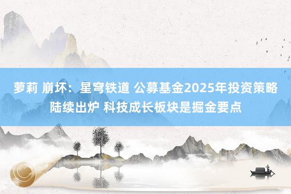 萝莉 崩坏：星穹铁道 公募基金2025年投资策略陆续出炉 科技成长板块是掘金要点