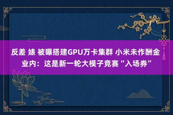 反差 婊 被曝搭建GPU万卡集群 小米未作酬金 业内：这是新一轮大模子竞赛“入场券”