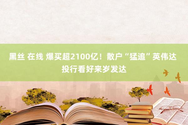 黑丝 在线 爆买超2100亿！散户“猛追”英伟达 投行看好来岁发达