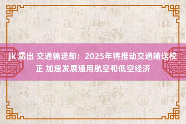 jk 露出 交通输送部：2025年将推动交通输送校正 加速发展通用航空和低空经济