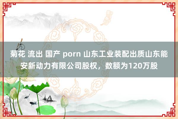 菊花 流出 国产 porn 山东工业装配出质山东能安新动力有限公司股权，数额为120万股