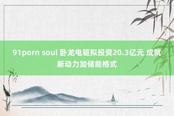 91porn soul 卧龙电驱拟投资20.3亿元 成就新动力加储能格式