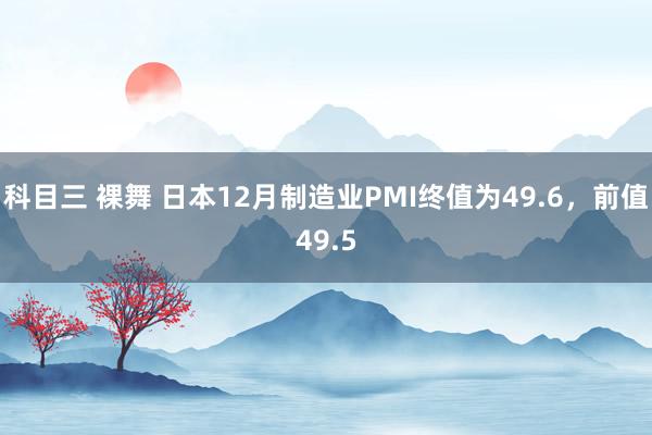 科目三 裸舞 日本12月制造业PMI终值为49.6，前值49.5