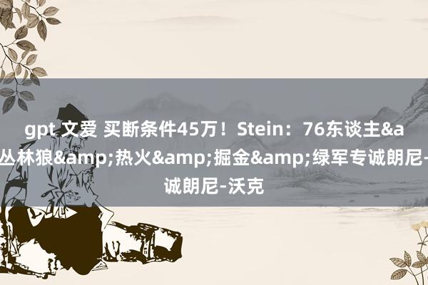 gpt 文爱 买断条件45万！Stein：76东谈主&丛林狼&热火&掘金&绿军专诚朗尼-沃克