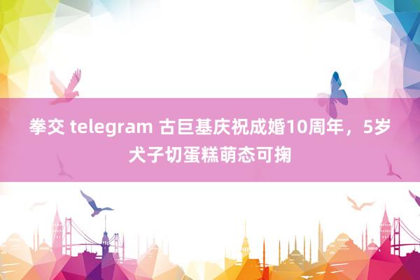 拳交 telegram 古巨基庆祝成婚10周年，5岁犬子切蛋糕萌态可掬