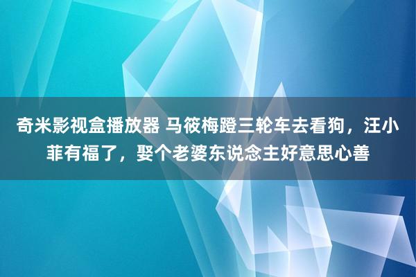 奇米影视盒播放器 马筱梅蹬三轮车去看狗，汪小菲有福了，娶个老婆东说念主好意思心善