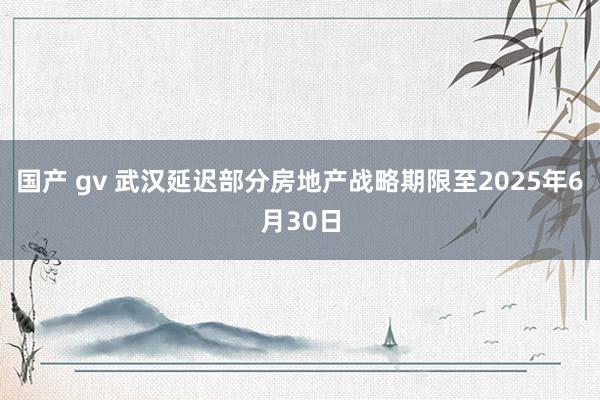 国产 gv 武汉延迟部分房地产战略期限至2025年6月30日