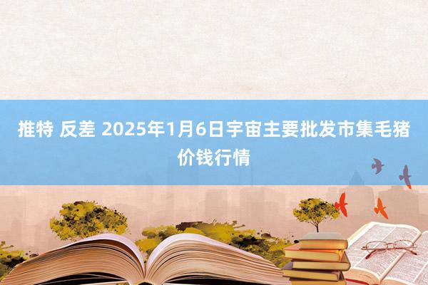 推特 反差 2025年1月6日宇宙主要批发市集毛猪价钱行情